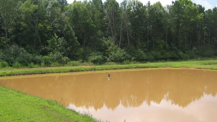 BARAH TIET NIEU BREI MBANG HAGAIT PIAH DRAH ABIH RUAK?