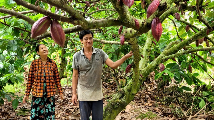 កសិករតំបន់ខ្សែទឹកក្រោមខេត្តដុងថាប និងវិញឡុងរួសរាន់ទប់ទល់ជាមួយនឹងការលុកលុយរបស់ទឹកប្រៃ។