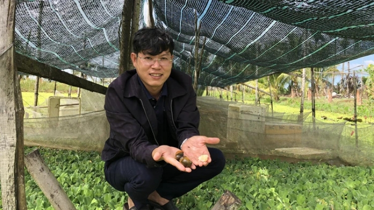 យុវជនវិលមកស្រុកកំណើតផ្តើមអាជីព ធ្វើមានពីកសិកម្មស្អាត