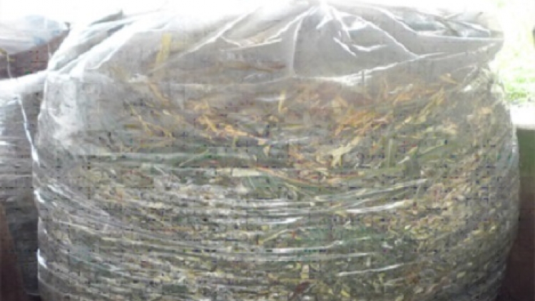 ỐM NHẢ KHUN MÒ VÀI