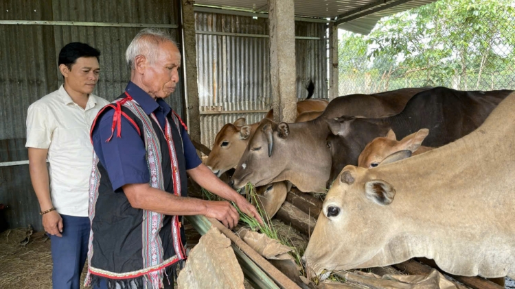 HÂN NOO HA PRUÔT TÊÊM NGĂN ĐHỊ K’NOONG K’TIÊC GIA LAI