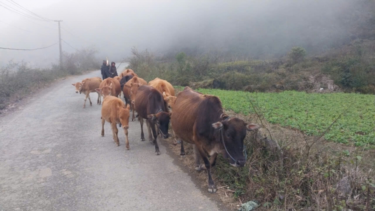 BĐPP TUYÊN QUANG PANG CHỎI MÒ FẰN HẨƯ BẠI LƯỜN KHỎ