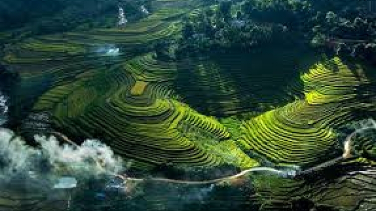 Danak dak sap Cam 21_03_2026