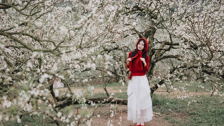 CHƯƠNG TRÌNH KHAY HENG TÀY-NÙNG (Thứ Ba- Vằn 10/3/2026)