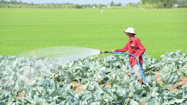 ពត៌មាន​ម៉ោង៦