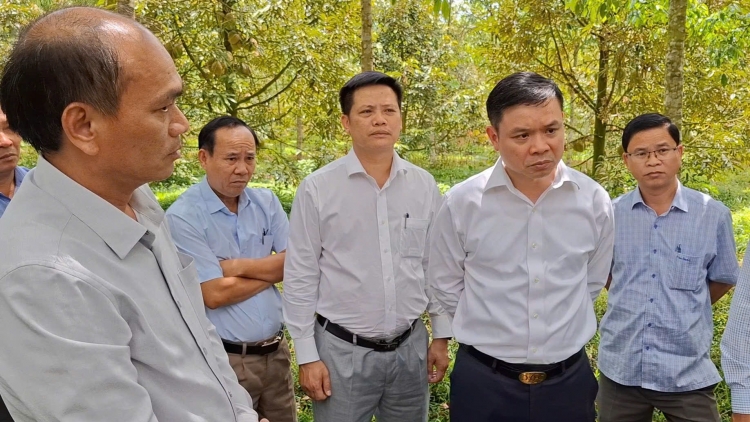 Hơtŏk tơiung tơdrong jang pơtăm sầu riêng plei ưh kơ trŏ pơyan tơ̆ Đắk Lắk