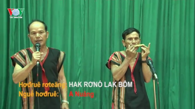 Hok mơak bơyan hơbơi plum 