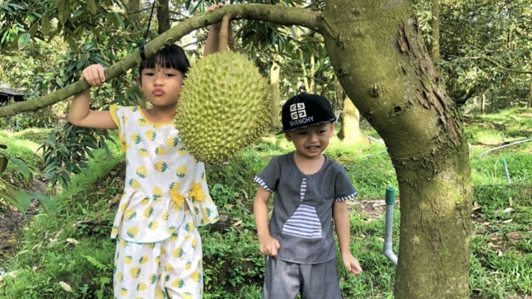 ពត៌មាន ម៉ោង​ ៦