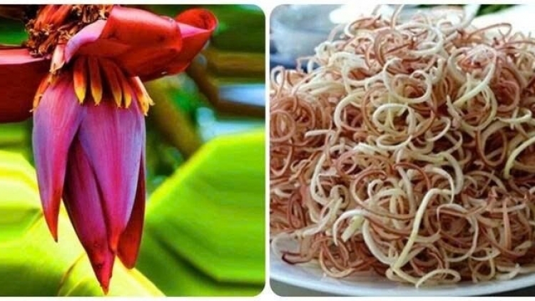 BẠI MÒN ĐÂY CÚA PI CUỔI