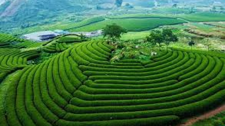 Danak dak sap Cam 07_03_2026