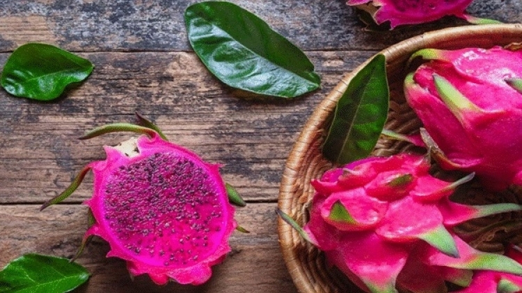 BẠI BÀI DA TỨ ĂN MÁC THANH LONG