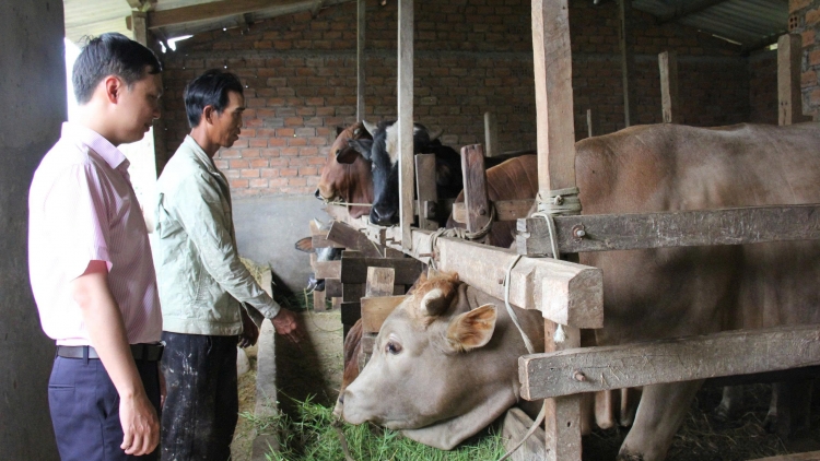 Tơnguh khà ai càn priă dong kờl gơwèt mờ hìu bơnhă rƀah gơguh 200 tơlak đong  
