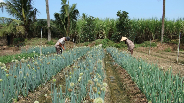 ជីវភាពរស់នៅរបស់បងប្អូនខ្មែររីកចម្រើនឡើងពីមួយថ្ងៃទៅមួយថ្ងៃ។