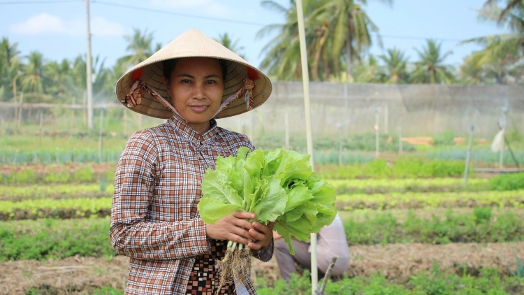 នារីខ្មែរឧស្សាហ៍ព្យាយាមបង្កើតបានដំណើររឿងដ៏ល្អលើតំបន់ដីកោះគូឡាវយុង