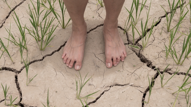 ពត៌មាន​ម៉ោង៦