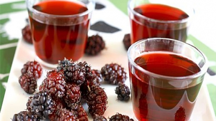 BẠI MÒN ĐÂY CÚA MÁC MỌN