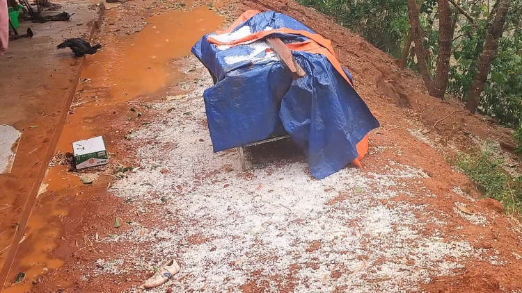 Quam kháo phổng Tày Bắc thứ 2 mự 20.4.2026