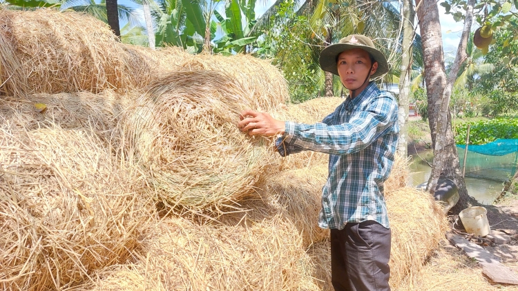 កសិករនៅកាម៉ាវចោលទម្លាប់ដុតចម្បើង ជញ្ជ្រាំង ដើម្បីធ្វើស្រូវមានគុណភាពខ្ពស់។