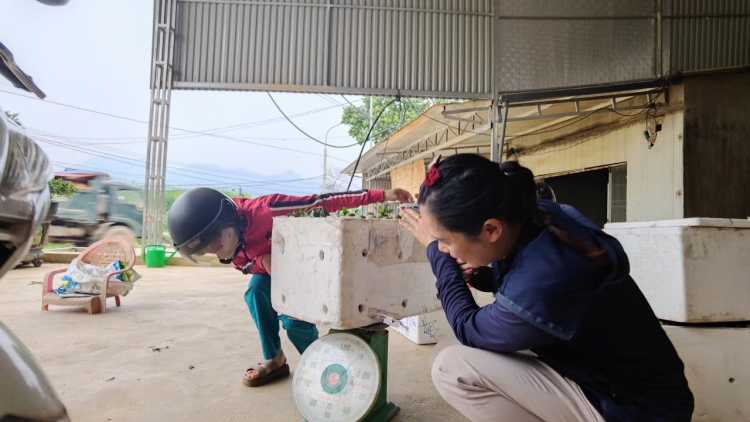 Chường trình phát thành quam Tay thứ 5 mự 23.4.2026