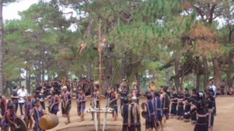 Đàn chim trắng (Tơpôl xem kok)