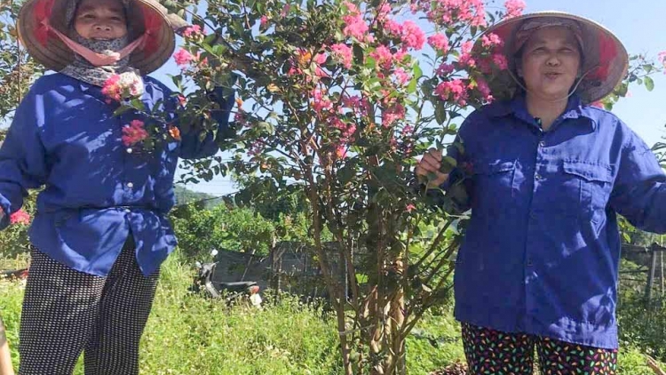 BẢN CỎN AN ỎN CHĂN ĐÂY HẨƯ PỈ NOỌNG NHÌNH VẠ ĐẾCH ENG