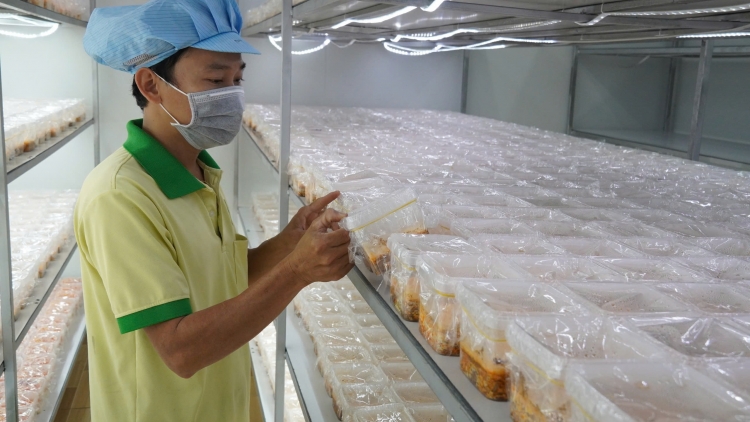 TƠỢ PHỐ CHÔ OOY VEL ĐONG CHOH BHRỢ TRI LIÊM CHOOM