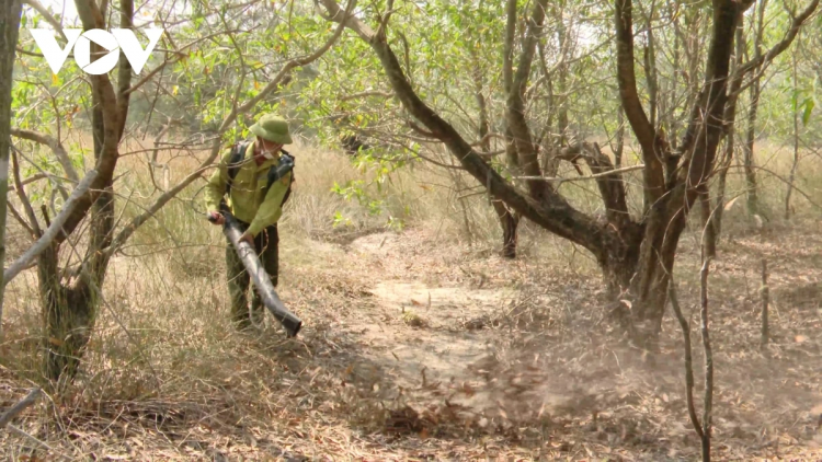 QUẢNG TRỊ: BHRỢ CHỐT ĐHỊ APÊÊ C’LÂNG, CHA GROONG ĐHA NUÔR ĐƠƠNG RÂU CHOOM ROOH OOY CRÂNG