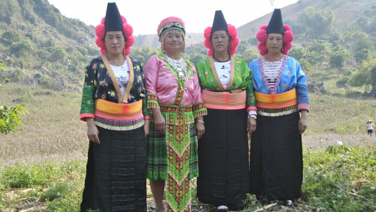 Tsaz yênhx nta suôz luk Hmôngz hnuz 6-03-2026