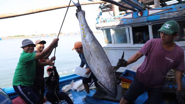 Gah phan tàm dà càr Dăk Lăk lơh ngan tơnguh bơta kwơ 