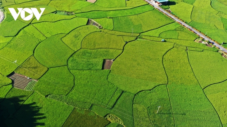 CHƯƠNG TRÌNH PHÁT THANH TIẾNG TÀY- NÙNG  (Thứ Bảy – vằn xo 4/4/2026)