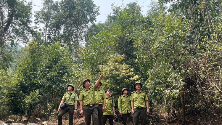 Tsaz yênhx nta suôz luk Hmôngz hnuz 15-4-2026