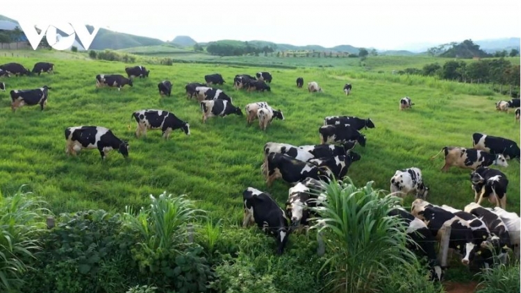 Ngon tô thứ 3 mự 28 căm bườn 4 pì 2026: Luông pùn chự phong phạ đét họn hẳư pưng ngua quai, pết cáy