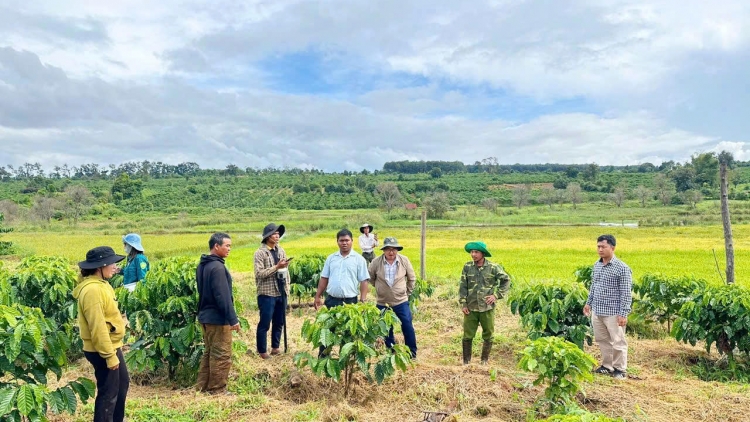 Trong hăn ngăch Quy Nhơn-Pleiku nau mpŏng bah cử tri Gia Lai dôl jêng geh dơi ngăn