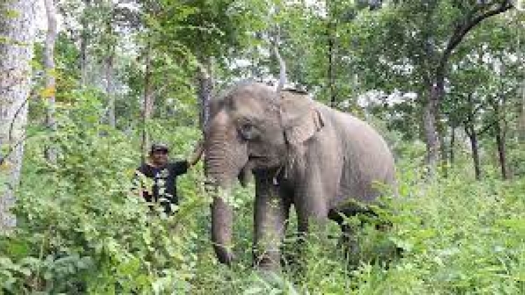  Hnê pơchân kuan cháu