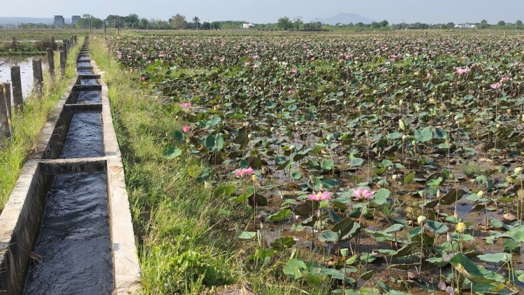 Pêt reăng sen hlối pro ôm hyô kô pro pơxúa ăm liăn tơkâ péa tơdroăng ăm kuăn pơlê pêi chiâk
