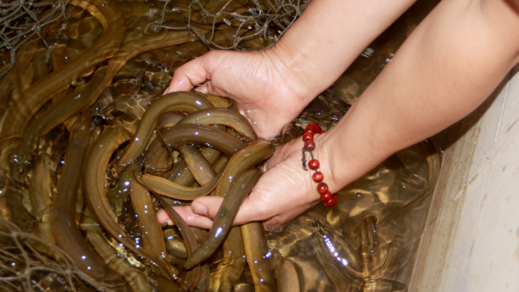 RAONG LANUNG DALAM DANAO SIMANG DAONG URANG NGAK NONG DUAH JIEN TIK 