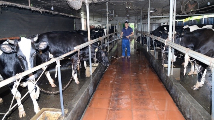 Tsưr ziv uô kôngz thiêz siv nênhx hnuz 14-4-2026