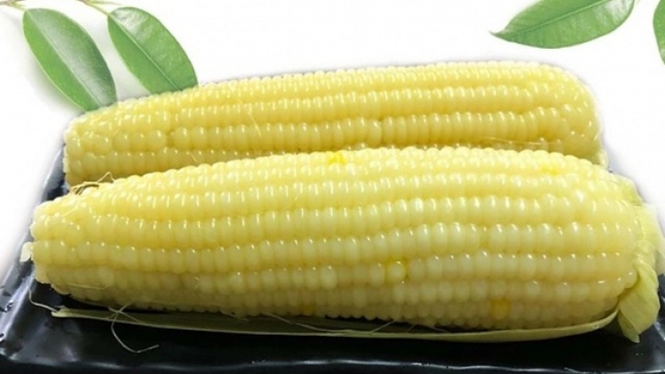 KIN BẮP LẦNG ĂN VẰN ĐÂY LỤ BẤU? 