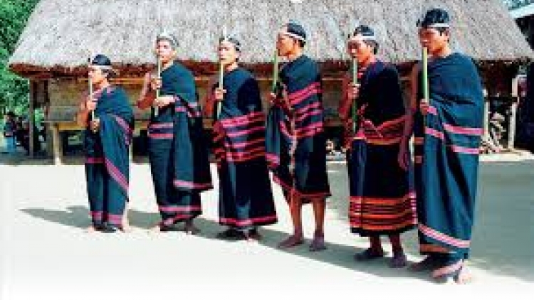 Chim cheh pu (Chim làm tổ)