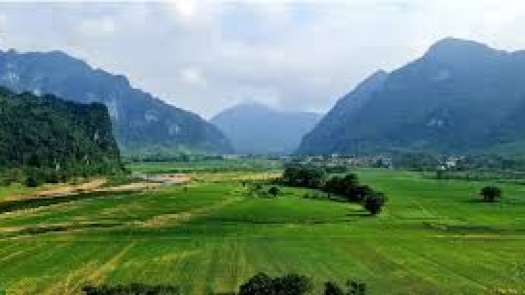 Danak dak sap Cam 20_04_2026