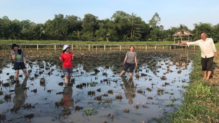កសិករវ័យចំណាស់ម្នាក់យកចិត្តទុកដាក់រក្សាពូជស្រូវធ្ងន់។