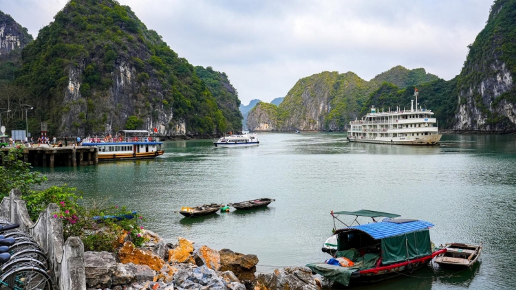 DƯƠNG CHỒM BẢN TỨC PẮT PJA CỦNG VIỆT HẢI DÚ HẢI PHÒNG