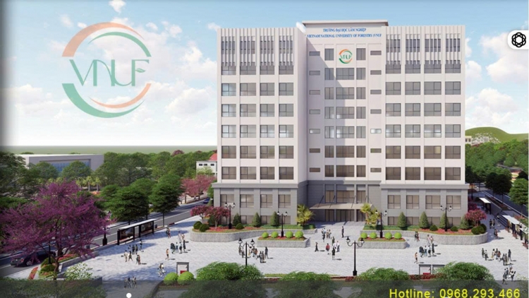 Ngon tô thứ 6 mự 03.4.2026 - TRƯƠNG ĐẠI HỌC LÂM NGHIỆP: CHIÊN PÁO TUYỂN SÌNH ĐẠI HỌC PÌ  ÉP 2026 PI NỌNG CẬN HỤ
