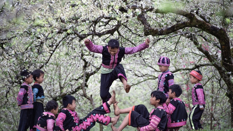 SÁO MÔNG: NGƯỜI MÔNG ƠN ĐẢNG