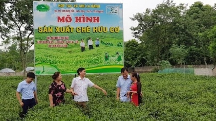 BH’NƠƠN PR’ĐƯƠI HA RÊÊ ĐHUÔCH THÁI NGUYÊN PA DƯR LIÊM CHOOM 