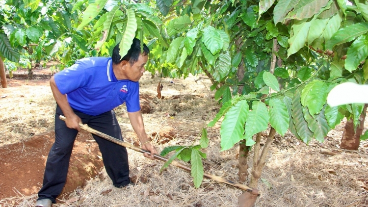 Vei lăng ‘lơ̆ng tơdrong hiôk sơđơ̆ng tơ̆ pơlei pơla kiơ̆ đơ̆ng "vei kơjăp đon lui đơ̆ng kon pơlei hăm Đảng, teh đak"