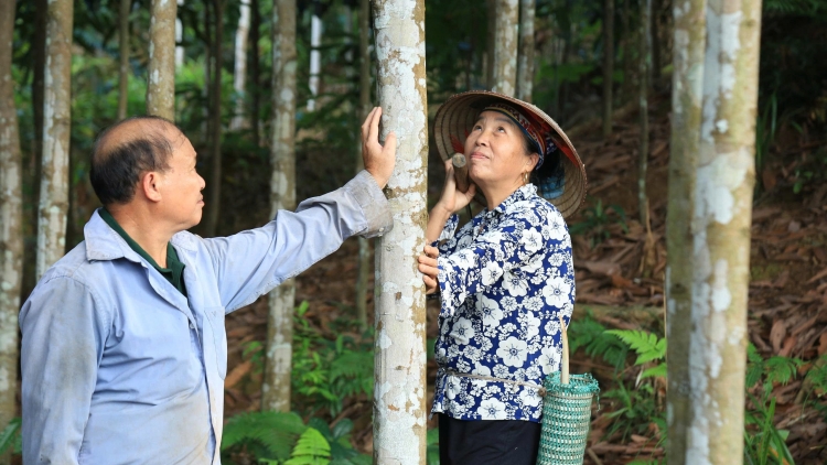 Chương trình phát thanh quam Tay thứ 5 mự 21 căm bườn 5 pì 2026