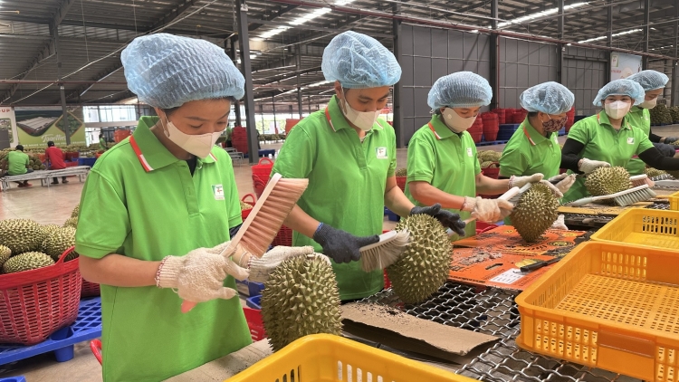 Việt Nam tê tơmeăm pê lo ing chiâk deăng, loăng, ká xixŏng ăm kong têa ê châ lối 23 rơtal USD