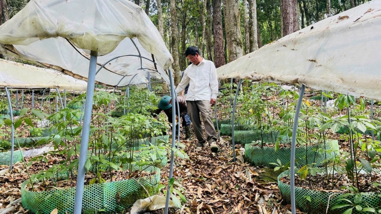 Kon pơlei tơring groi kông păih Pơmơ̆t Quảng Ngãi tơplih “bri ‘long” jing tơdrong jang sa kơjăp ‘lơ̆ng