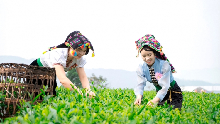Lầy tzình phát sinh ìu miền vả hoi 04.5.2026
